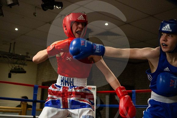 SB Boxing 23-101