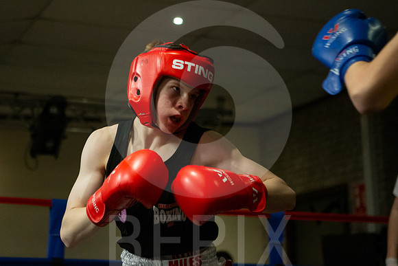 SB Boxing 23-135