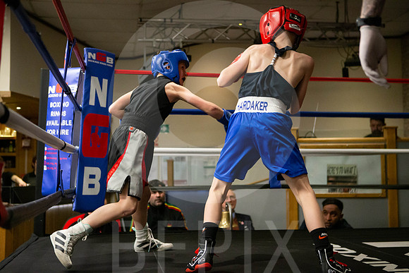 SB Boxing 23-24