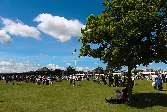 Great Yorkshire Show