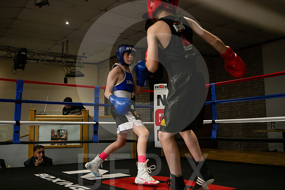 SB Boxing 23-160