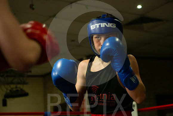 SB Boxing 23-52