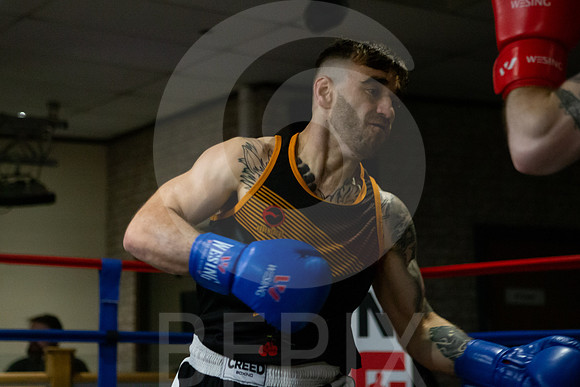 SB Boxing 23-181