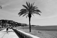 Malaga BW-43