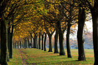 Autumn on Savile Park, Halifax