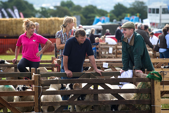 Halifax Show