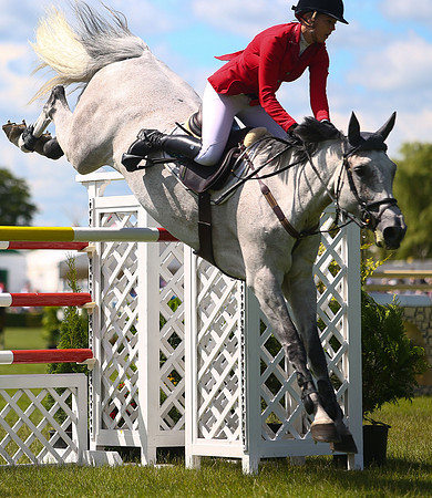 Great Yorkshire Show
