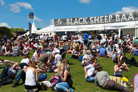 Great Yorkshire Show