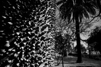 Malaga BW-23
