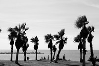 Malaga BW-40