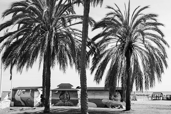 Malaga BW-49