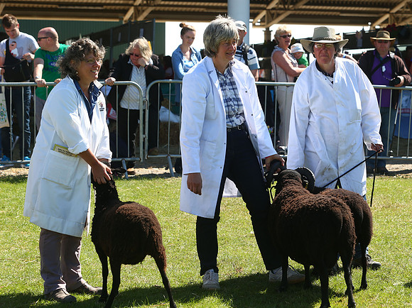 The Great Yorkshire Show