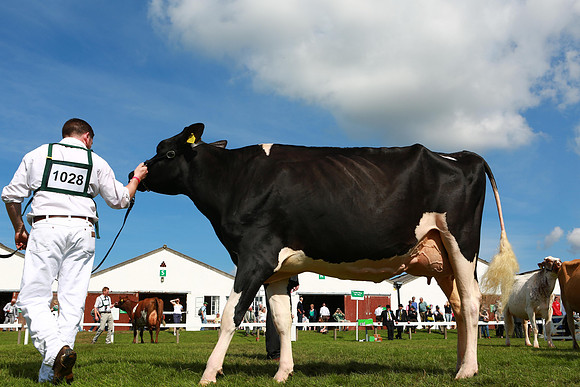 Great Yorkshire Show