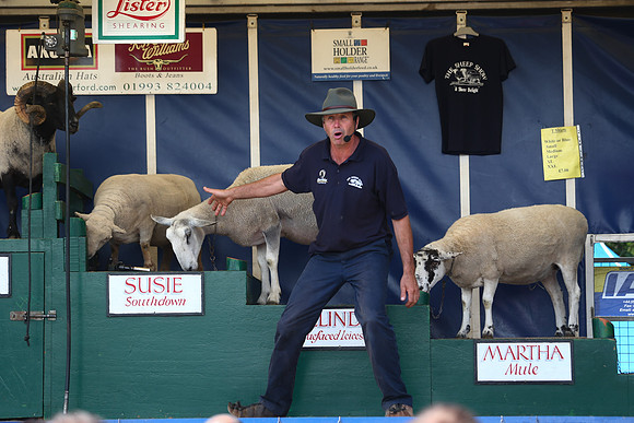 The Great Yorkshire Show