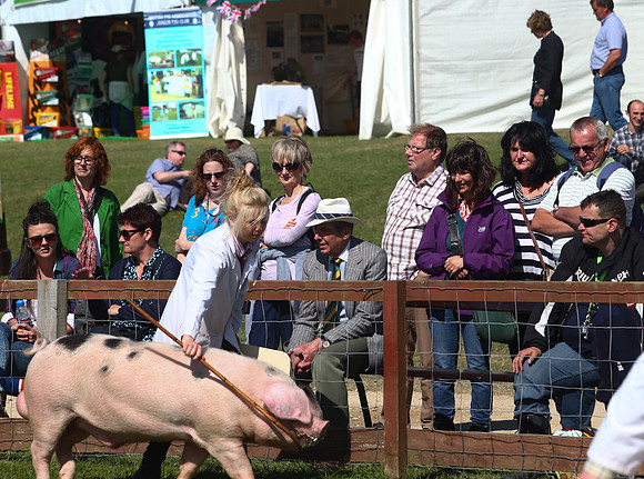 The Great Yorkshire Show
