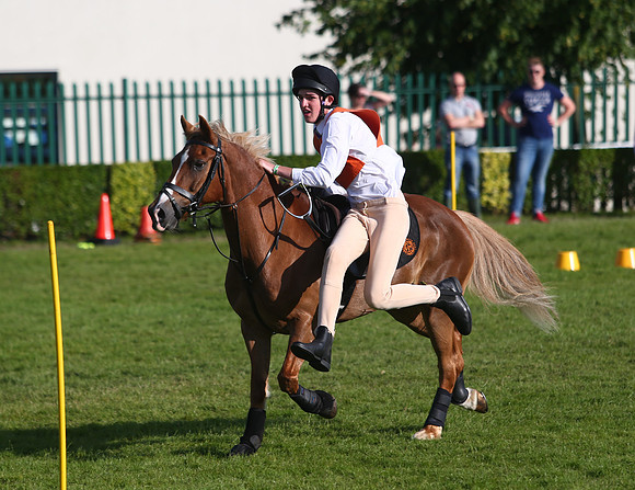 The Great Yorkshire Show