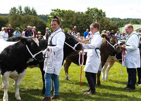 Great Yorkshire Show
