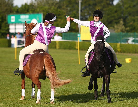 The Great Yorkshire Show