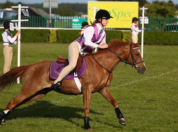 The Great Yorkshire Show
