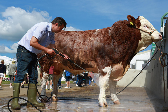 Great Yorkshire Show