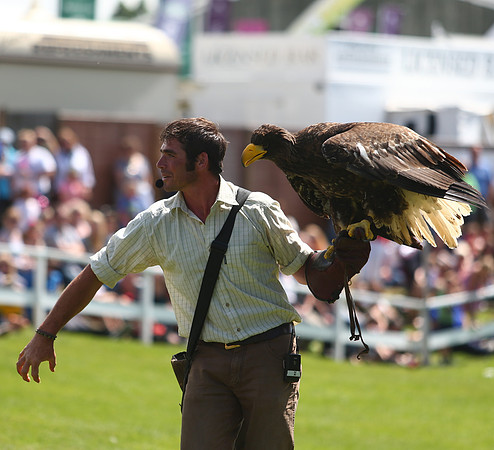 The Great Yorkshire Show