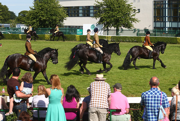 The Great Yorkshire Show
