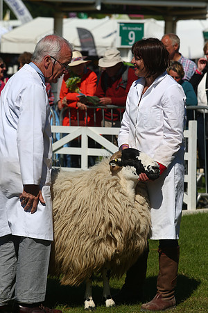 The Great Yorkshire Show