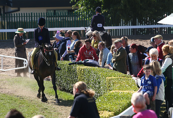 The Great Yorkshire Show