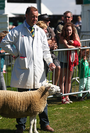 The Great Yorkshire Show
