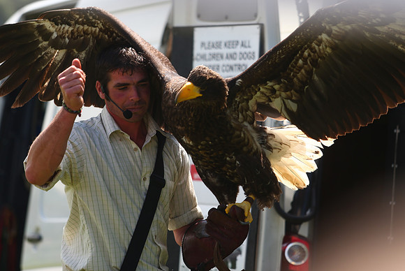 The Great Yorkshire Show