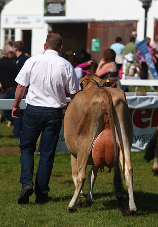 The Great Yorkshire Show