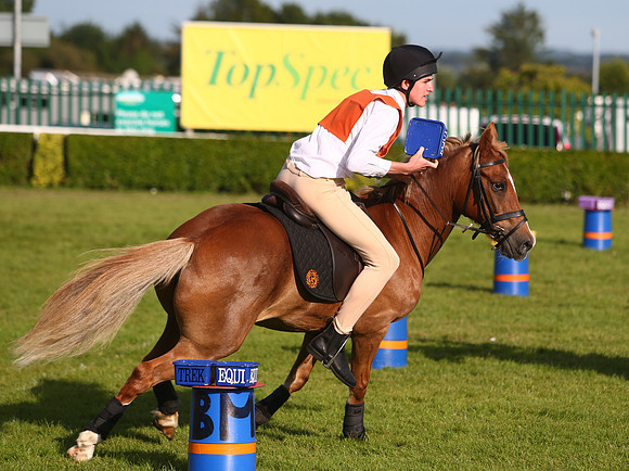 The Great Yorkshire Show