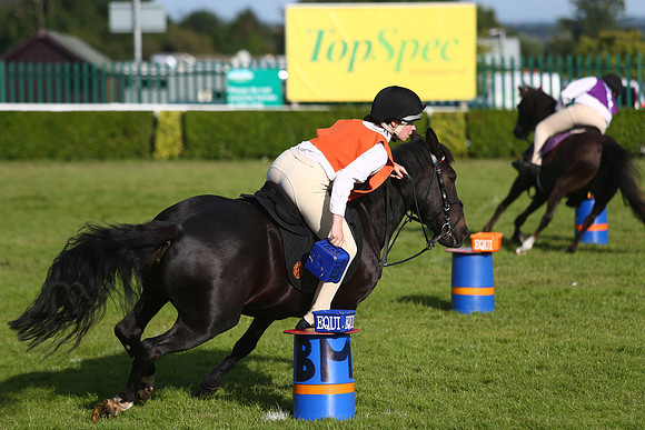 The Great Yorkshire Show